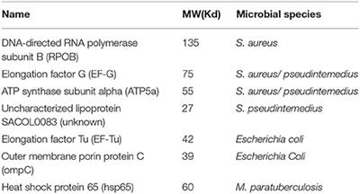 Anti-microbial Antibodies, Host Immunity, and Autoimmune Disease